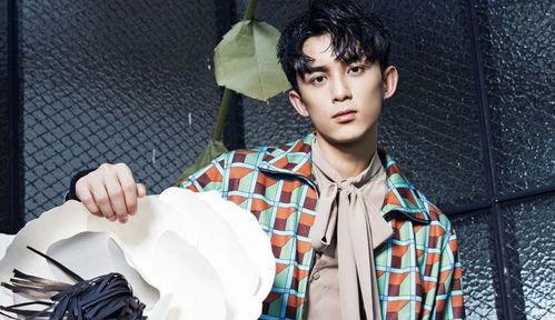 吴磊娱乐圈爆料,揭秘明星幕后故事  第3张